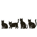 Image Not Available